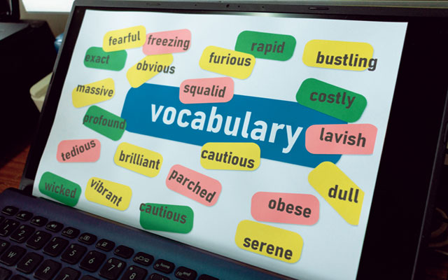 Vocabulary Level 3